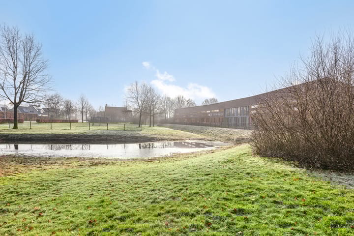 Foto 30 van Toarteltoan 7