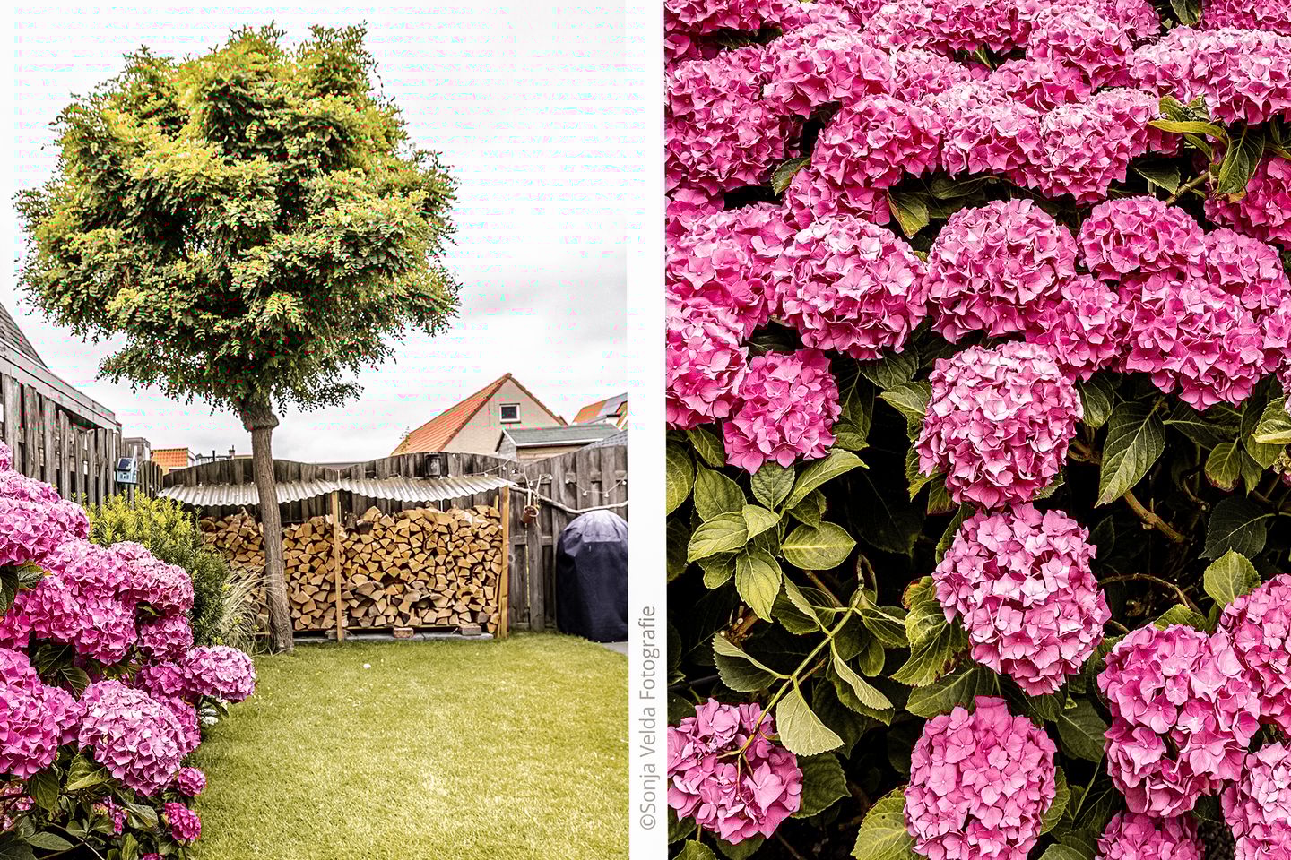 Foto 29 van IJweg 63