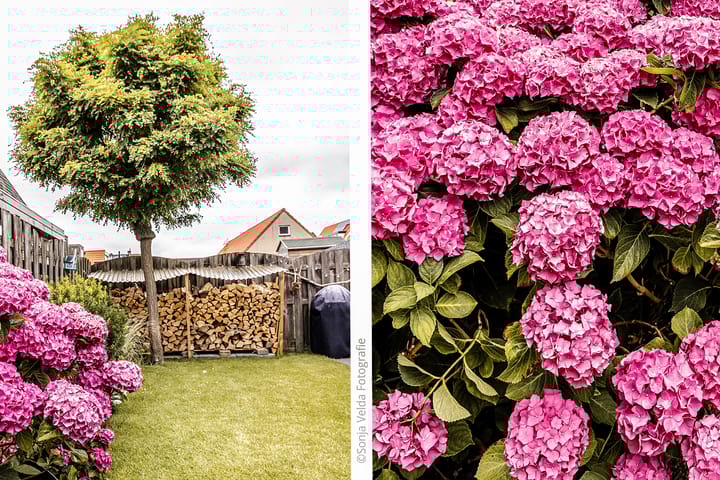 Foto 29 van IJweg 63