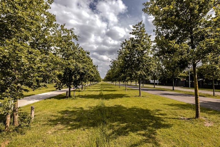 Foto 39 van IJweg 63