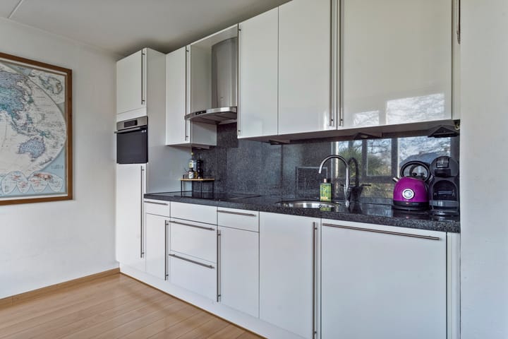 Foto 5 van Dommelborch 100