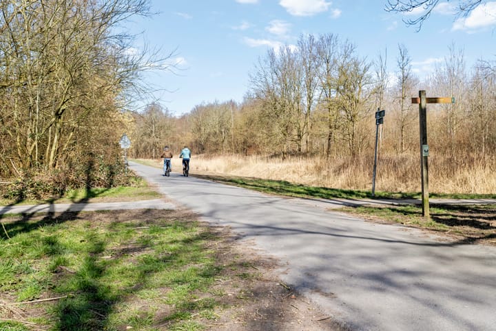 Foto 30 van Karveel 43 90