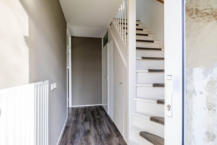 Foto 10 van Boerhoorn 11