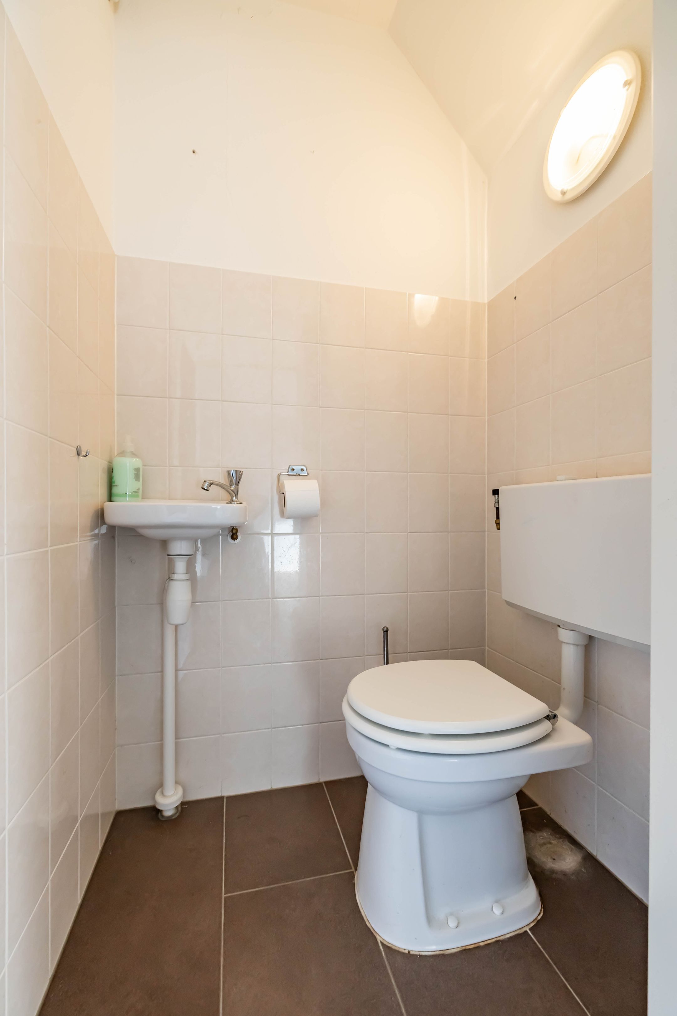 Foto 12 van Boerhoorn 11