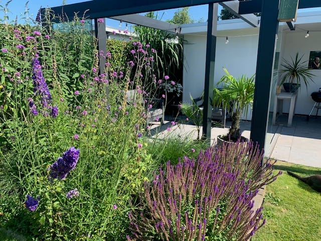 Foto 57 van Hollandse Hout 203