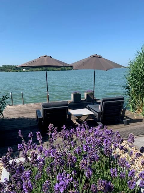 Foto 69 van Hollandse Hout 203