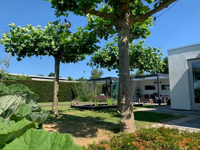 Foto 79 van Hollandse Hout 203