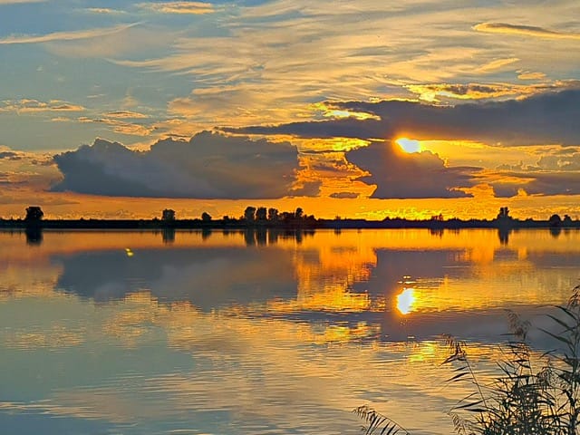 Foto 85 van Hollandse Hout 203