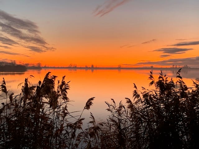 Foto 87 van Hollandse Hout 203