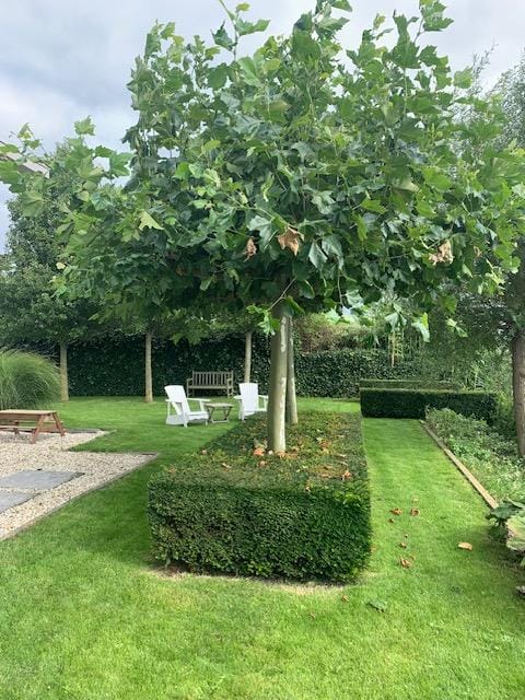 Foto 90 van Hollandse Hout 203