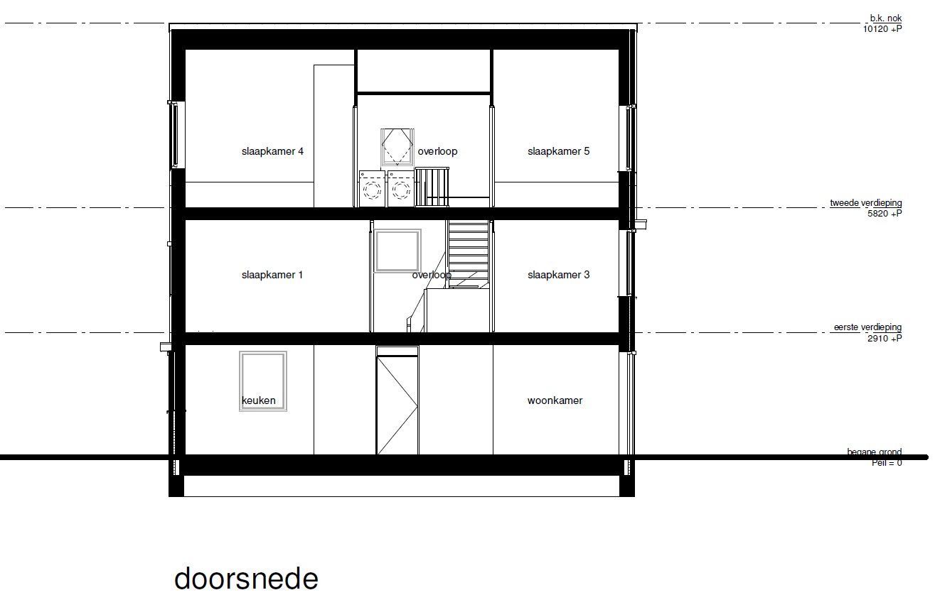 Foto 36 van Moerasorchidee 25