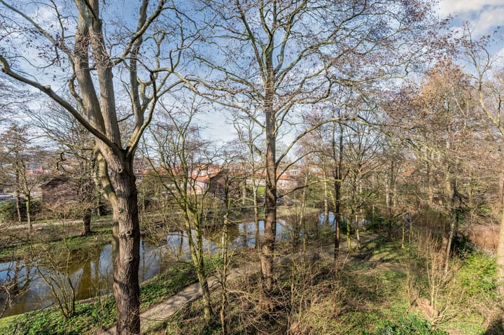 Photo 44 of Stadstuinen 95