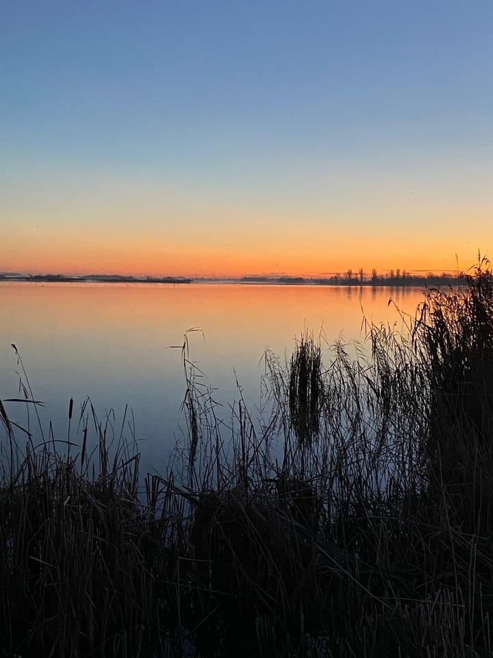 Foto 58 van Paardenakker 29