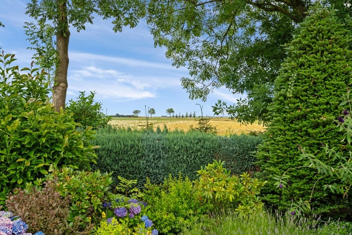 Bekijk foto 23 van Gronddiep 59