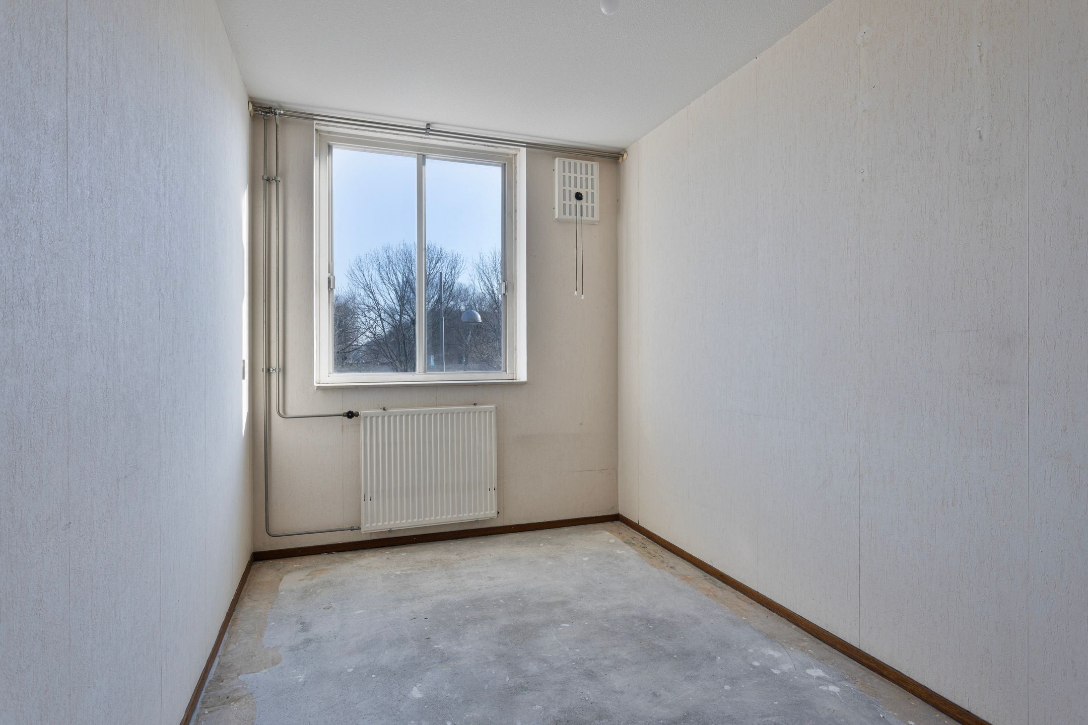 Foto 12 van Bernard Shawsingel 246