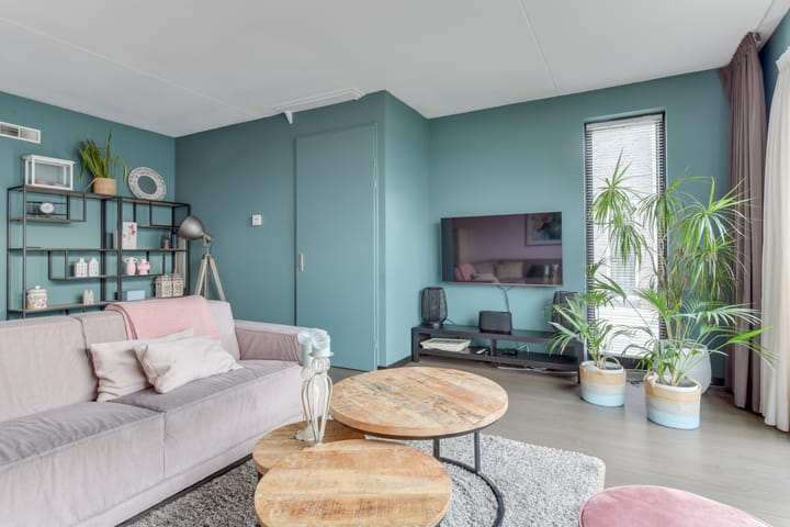 Foto 10 van Zuiderlicht 169