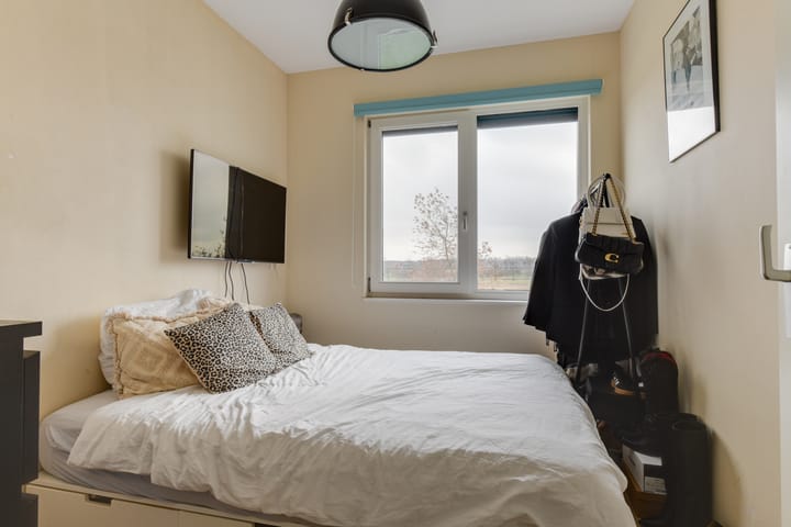 Foto 31 van Zuiderlicht 169