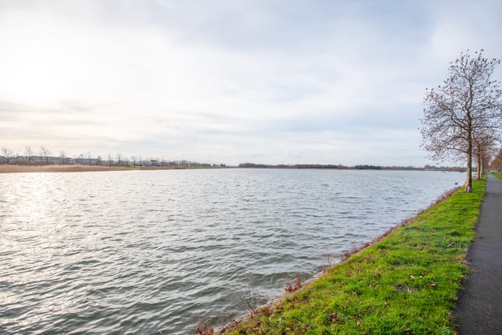 Foto 45 van Zuiderlicht 169