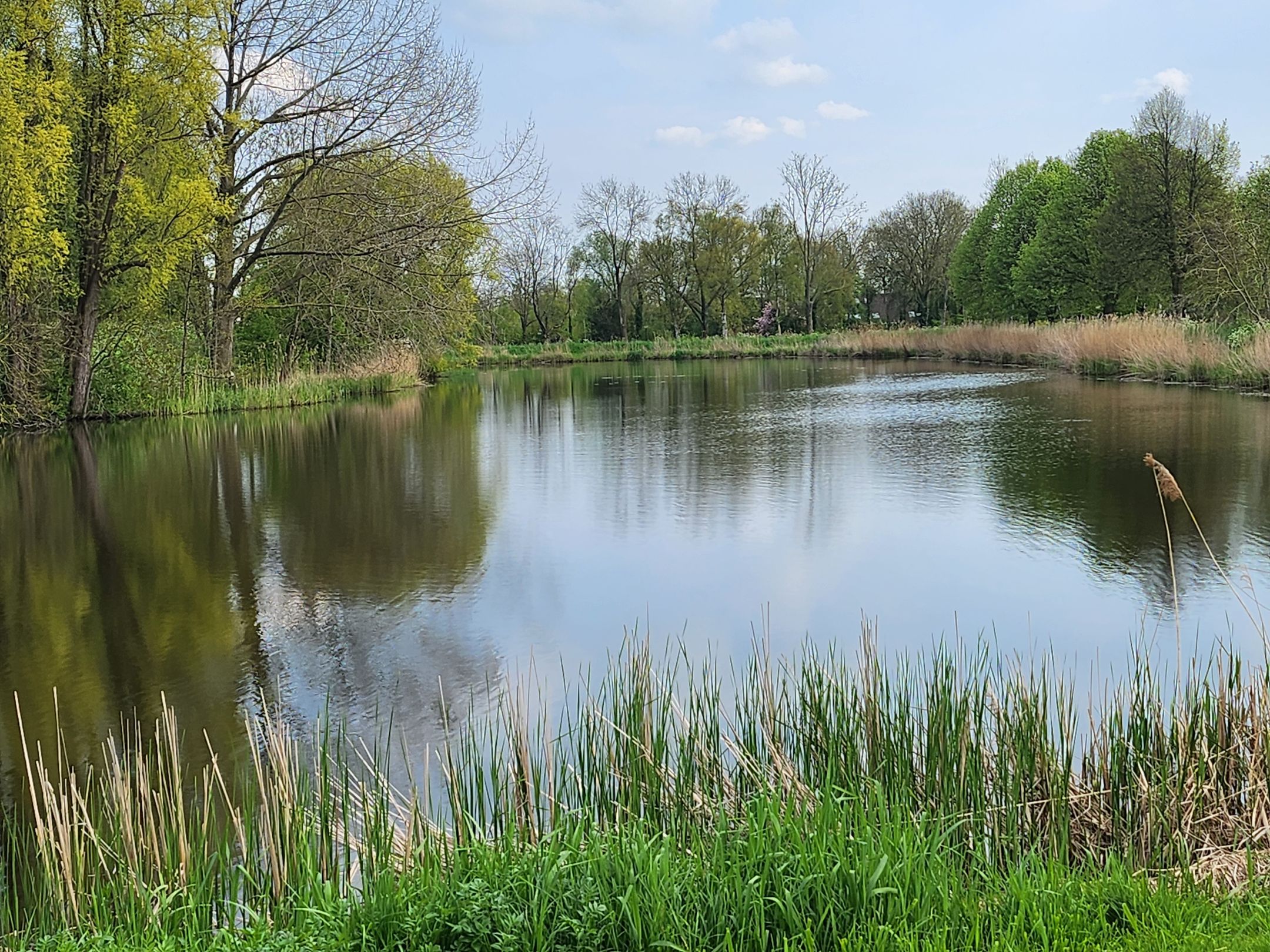 Photo 18 of Wilhelminastraat 24