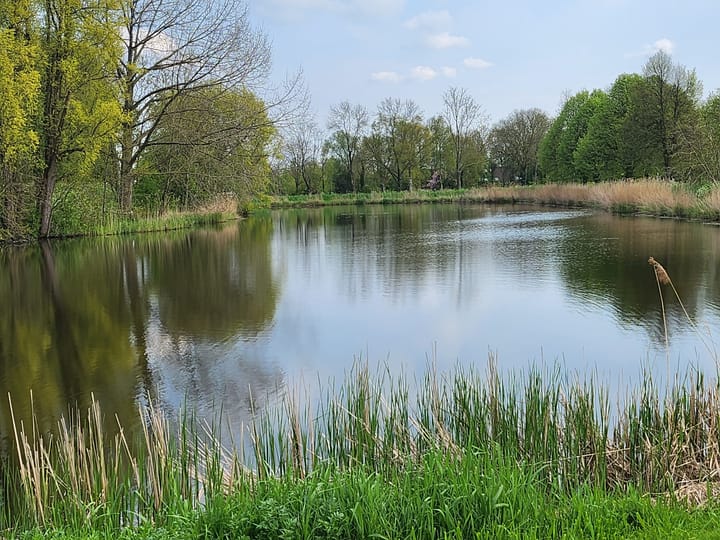 Foto 18 van Wilhelminastraat 24