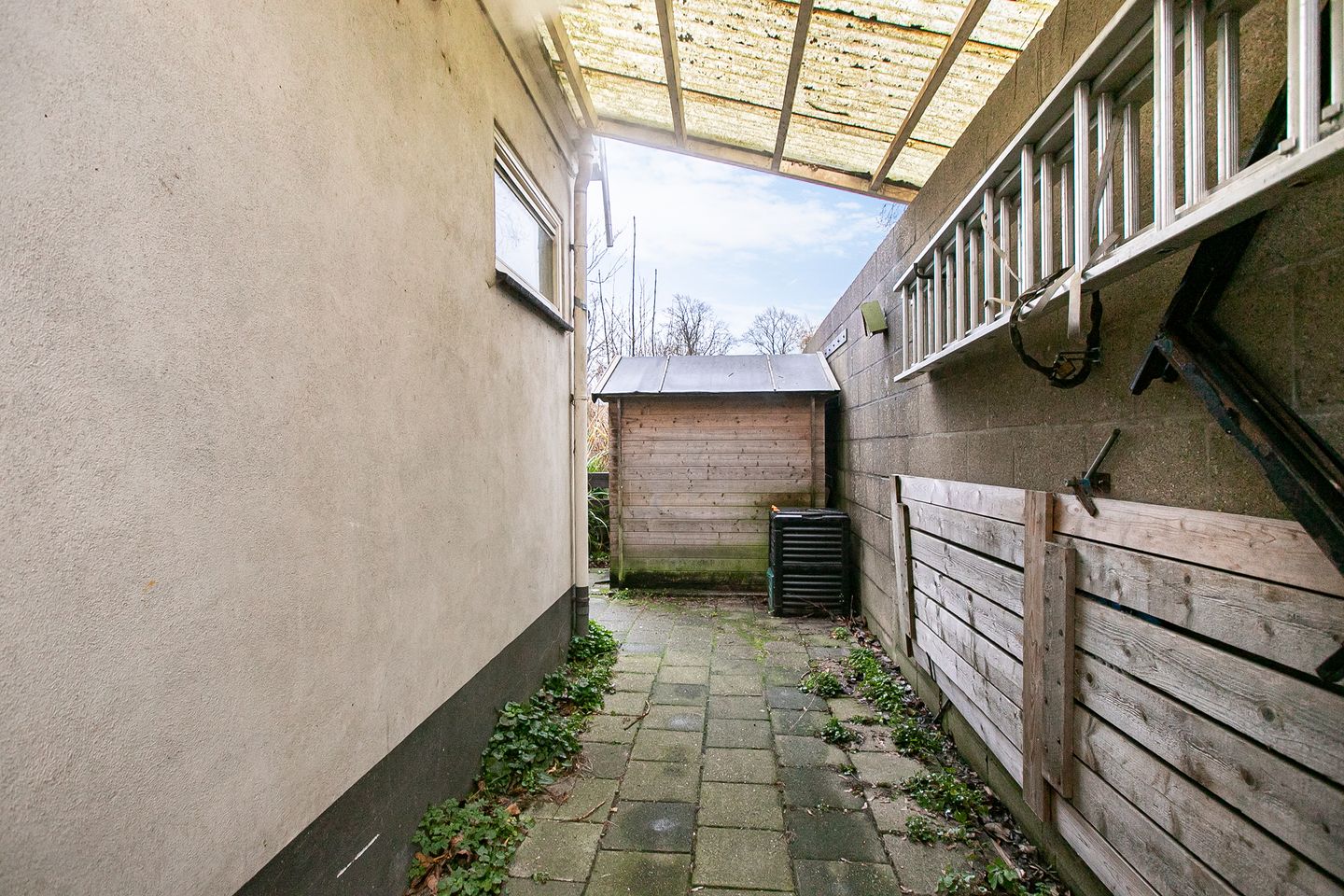 Photo 19 of Wilhelminastraat 24