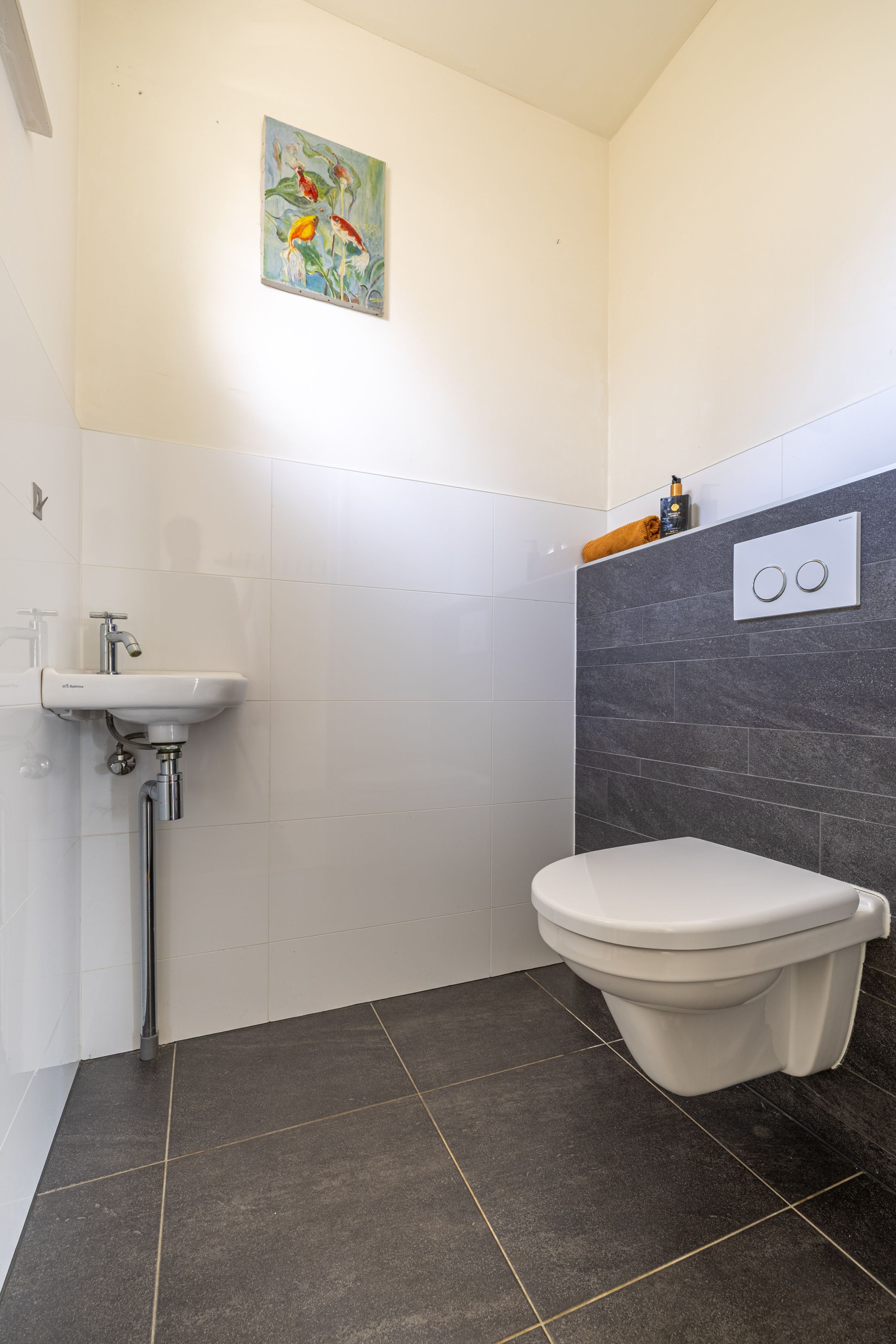 Foto 48 van Foareker 10