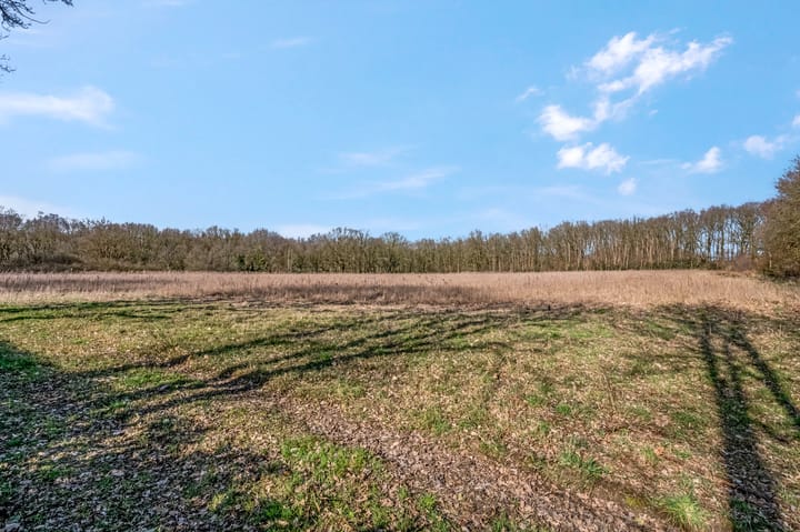 Foto 30 van De Stichtse Rand 6-A