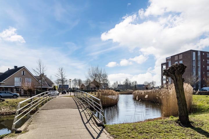 Foto 4 van Palissanderhout 58