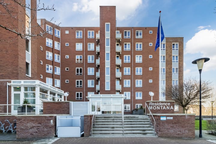 Foto 6 van Palissanderhout 58