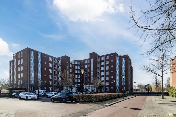 Foto 7 van Palissanderhout 58