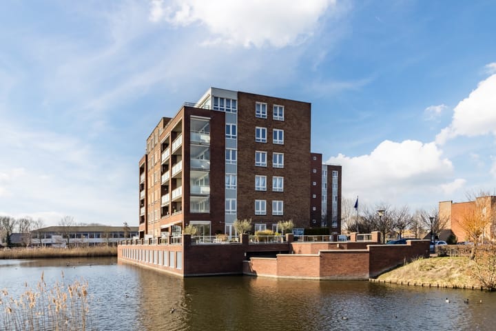 Foto 8 van Palissanderhout 58