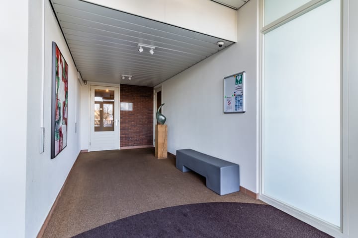 Foto 9 van Palissanderhout 58