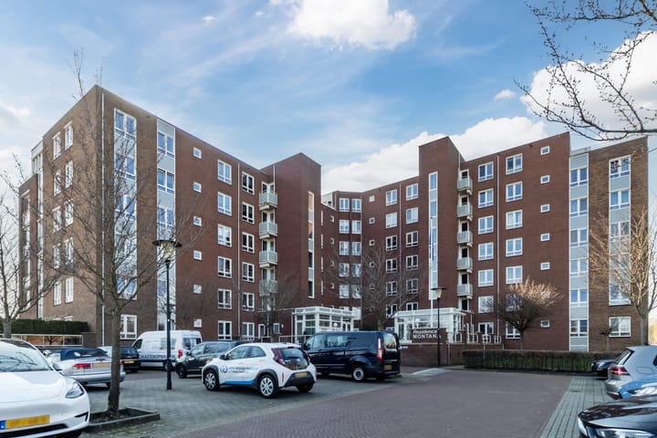 Foto 38 van Palissanderhout 58