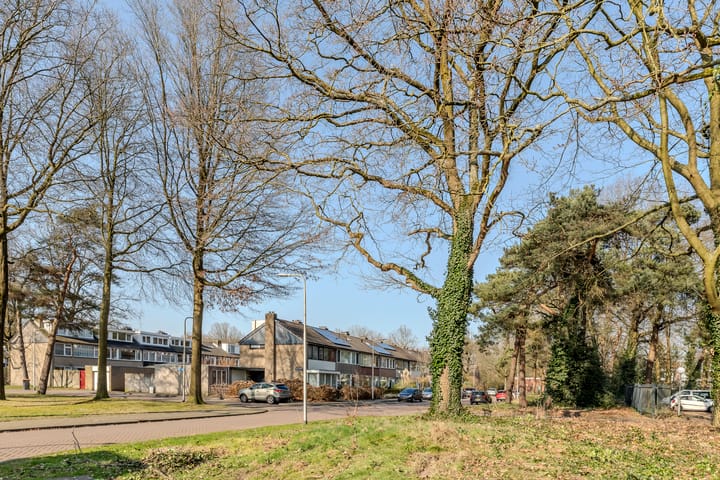 Foto 35 van Frans Erensstraat 22