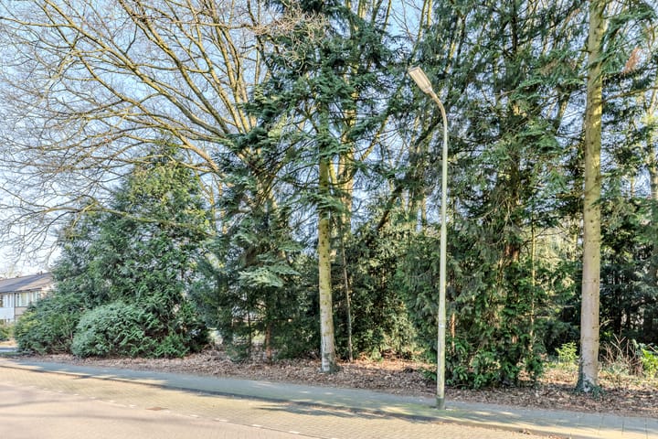 Foto 36 van Frans Erensstraat 22