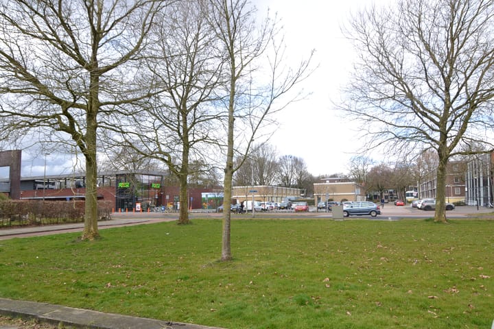 Foto 2 van Lijsterbesstraat 18-C