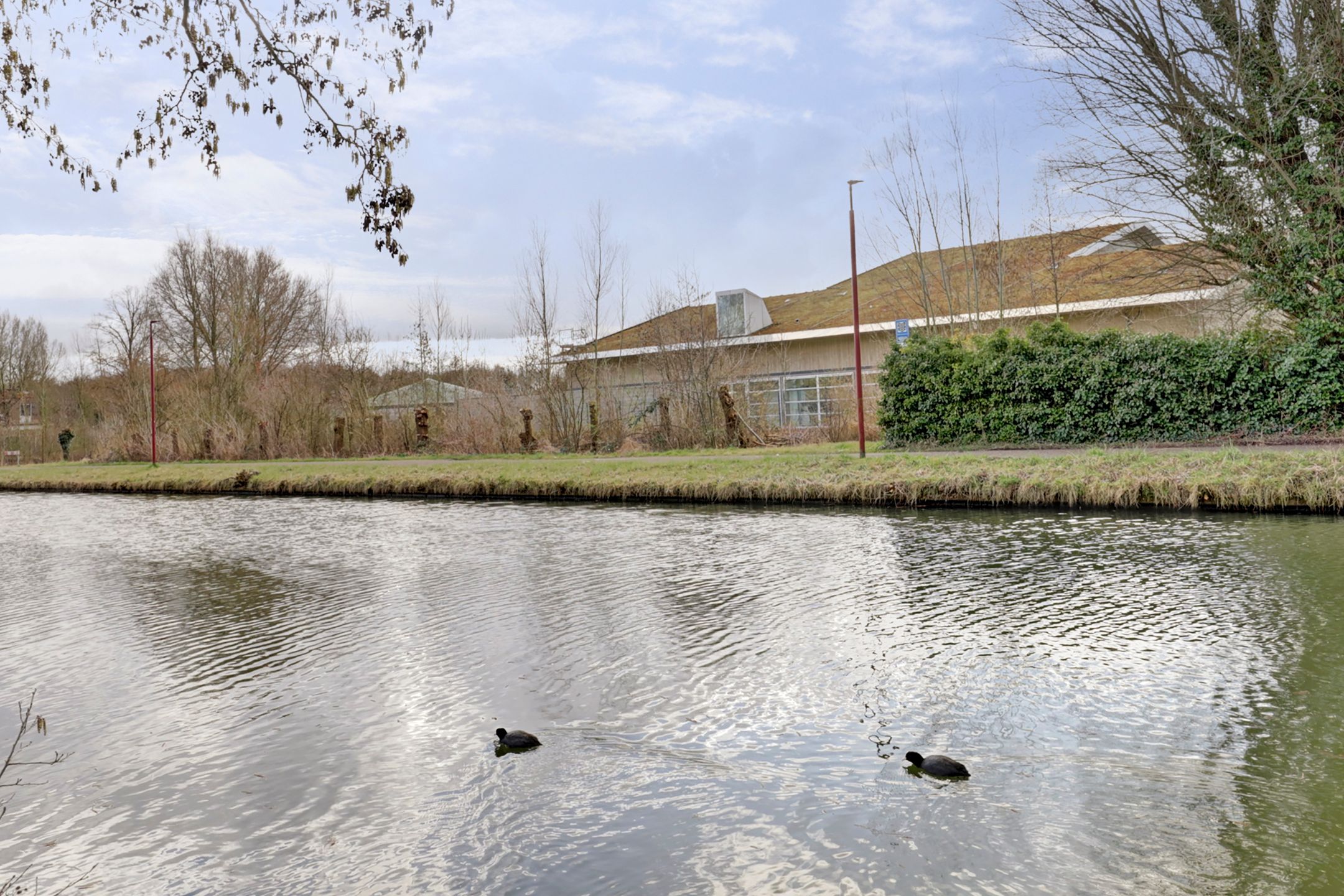 Foto 51 van IJsselsteinseweg 96