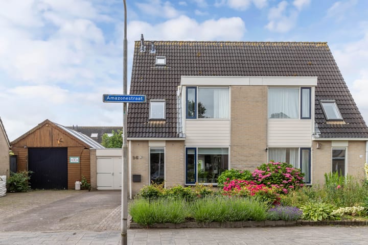 Foto 10 van Amazonestraat 56