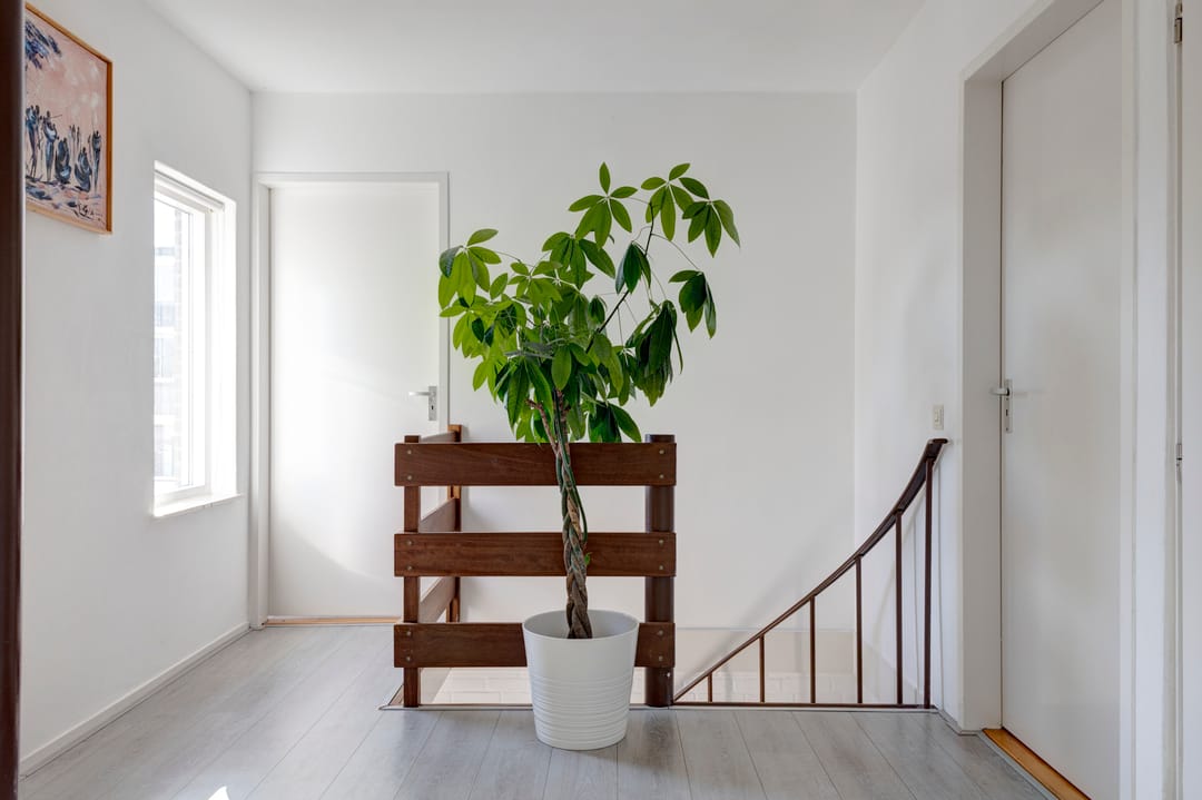 Foto 17 van Klaverkamp 21