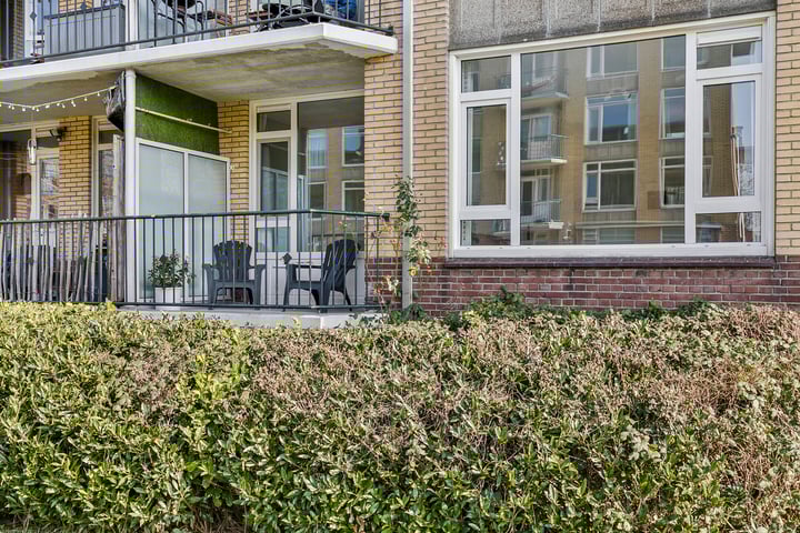 Tolsteegplantsoen 21
