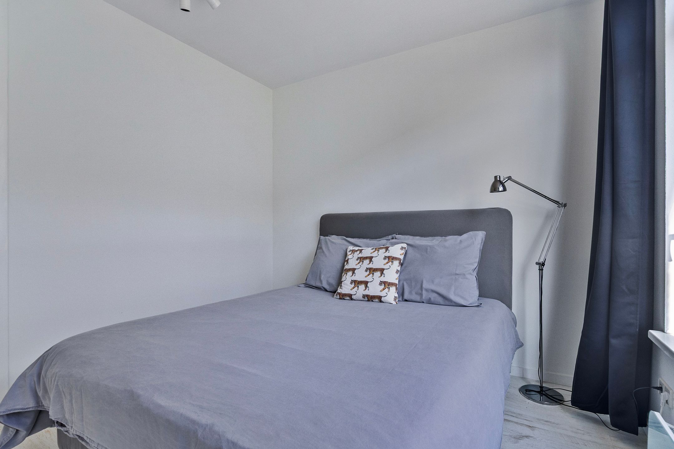 Photo 18 of Tolsteegplantsoen 21