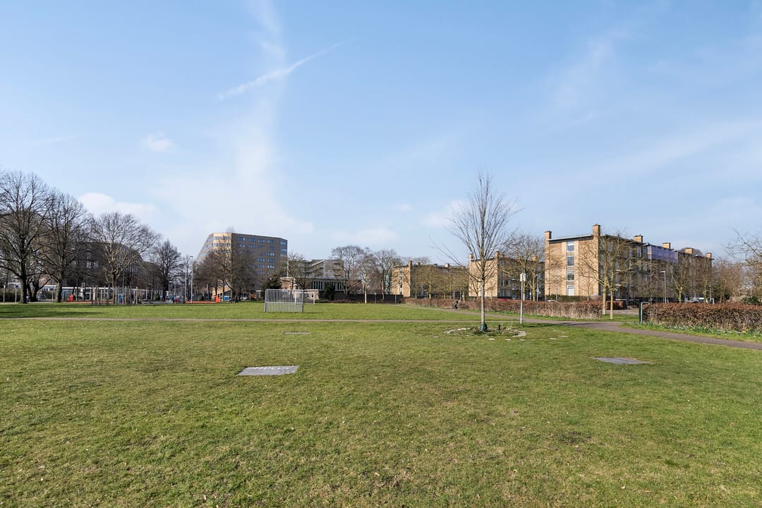 Photo 31 of Tolsteegplantsoen 21