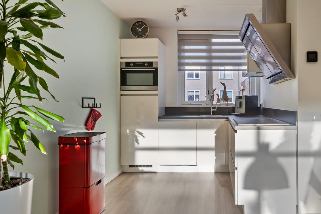 Foto 7 van Grote Maote 20