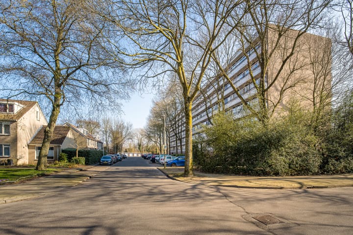 Foto 40 van Hijmans van den Berghlaan 152