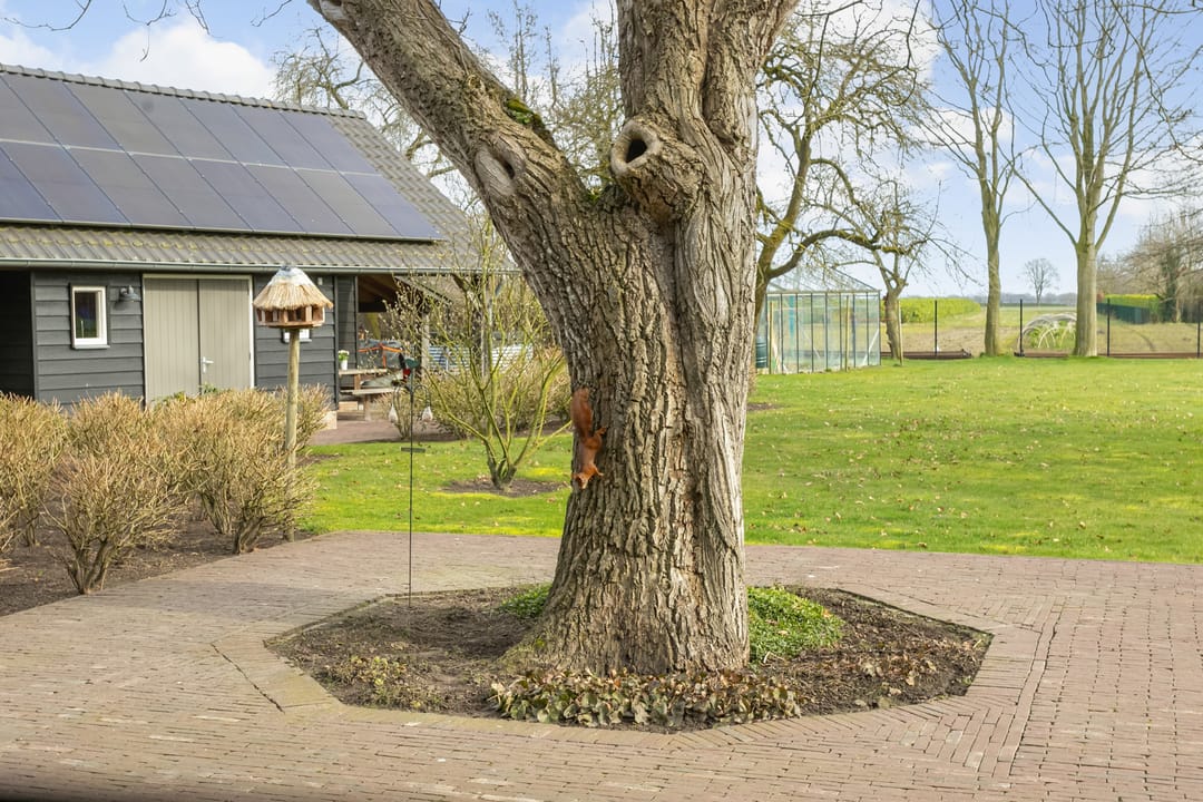 Foto 53 van Waterstraat 3