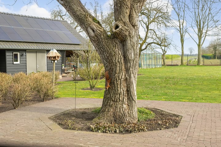 Foto 53 van Waterstraat 3