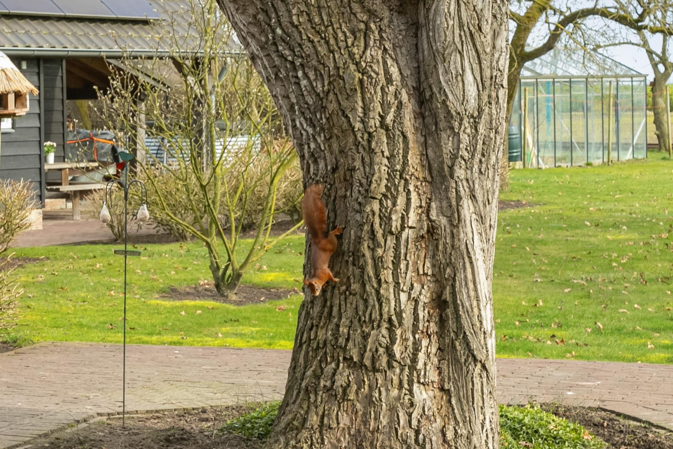 Foto 54 van Waterstraat 3