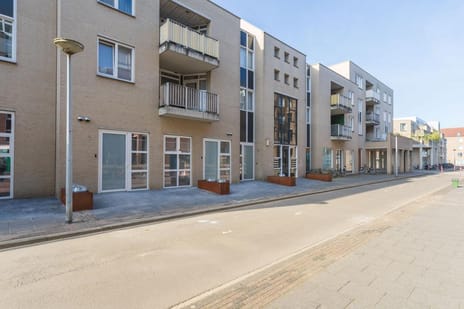 undefined main image