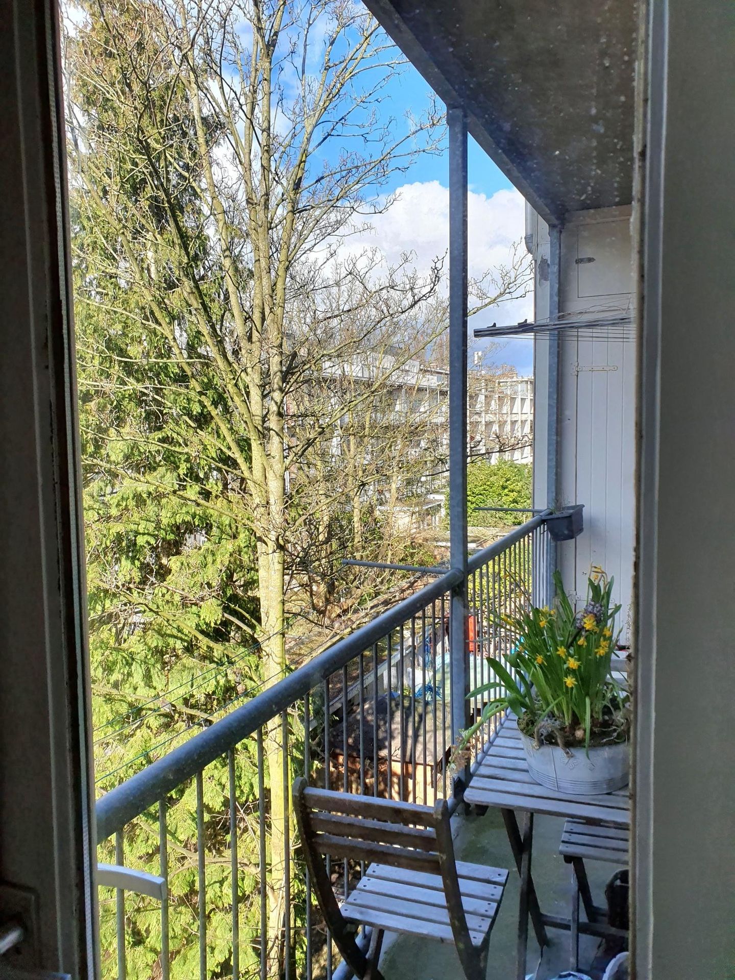 Foto 20 van Rijnstraat 228-2