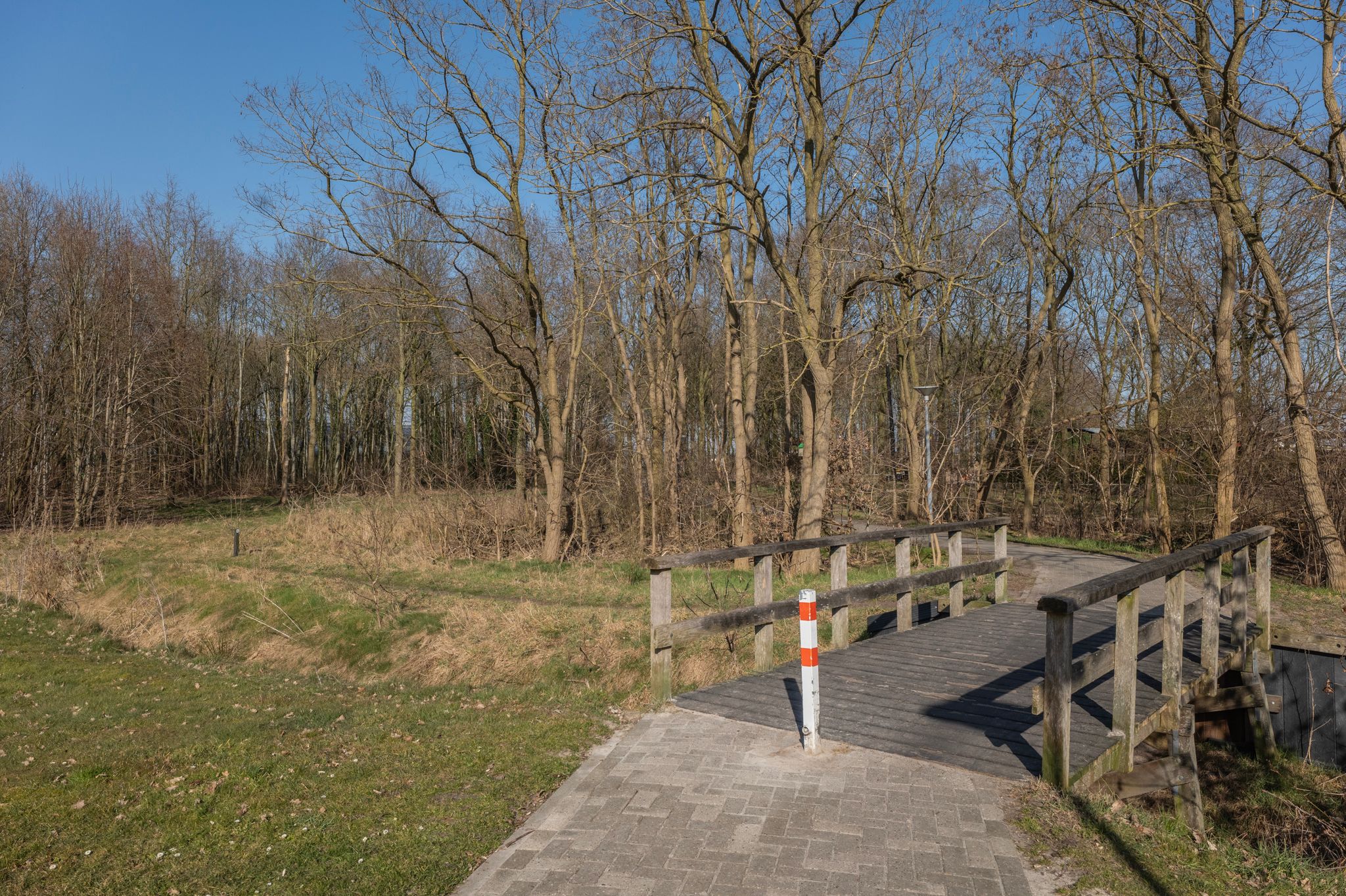 Foto 54 van Rhodonietdreef 46